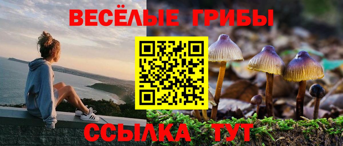 Где купить  Юрга  Канабис  Меф МЯУ МЯУ кристаллы  Вход с VPN  Гашиш 