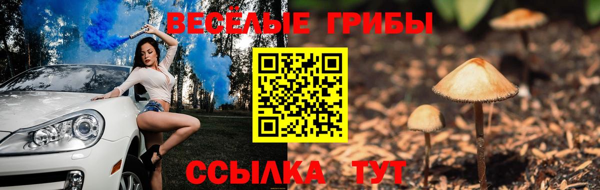 Юрга  Псилоцибиновые грибы GOLDEN TEACHER  Вход с VPN 